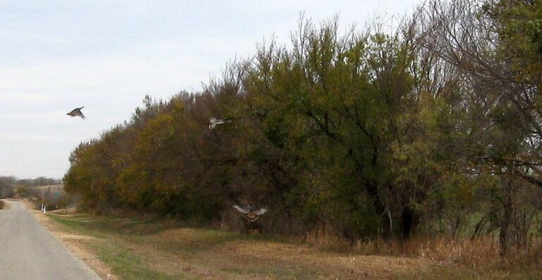 Knight Canyon Road - The North Texas Moto Journal