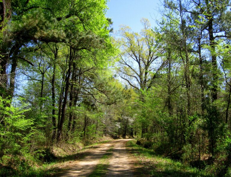 Red River Ride - The North Texas Moto Journal