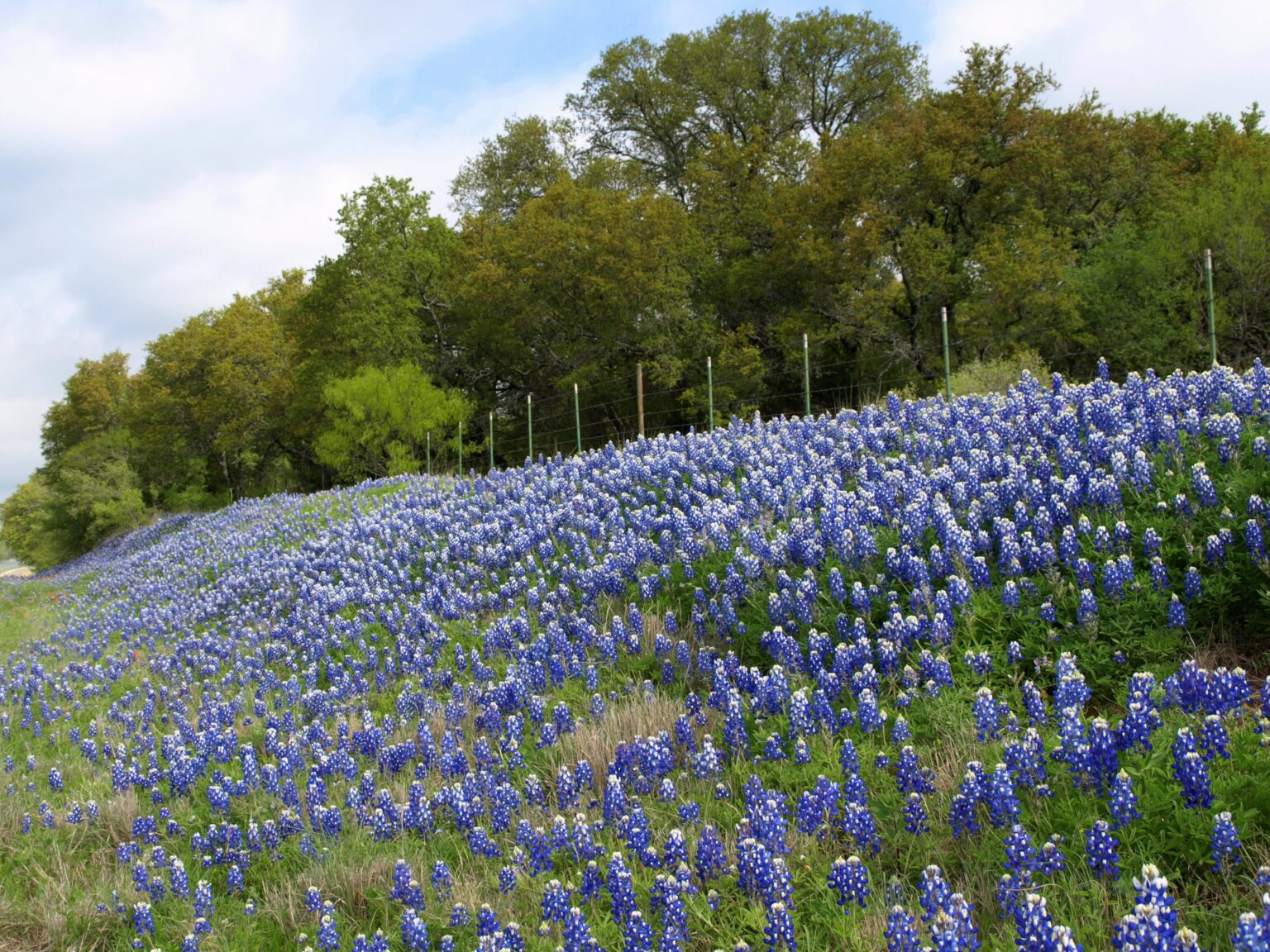 Llano - Texas National Rally - The North Texas Moto Journal