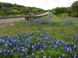 069-28aLlanoTexasNationalRally2010