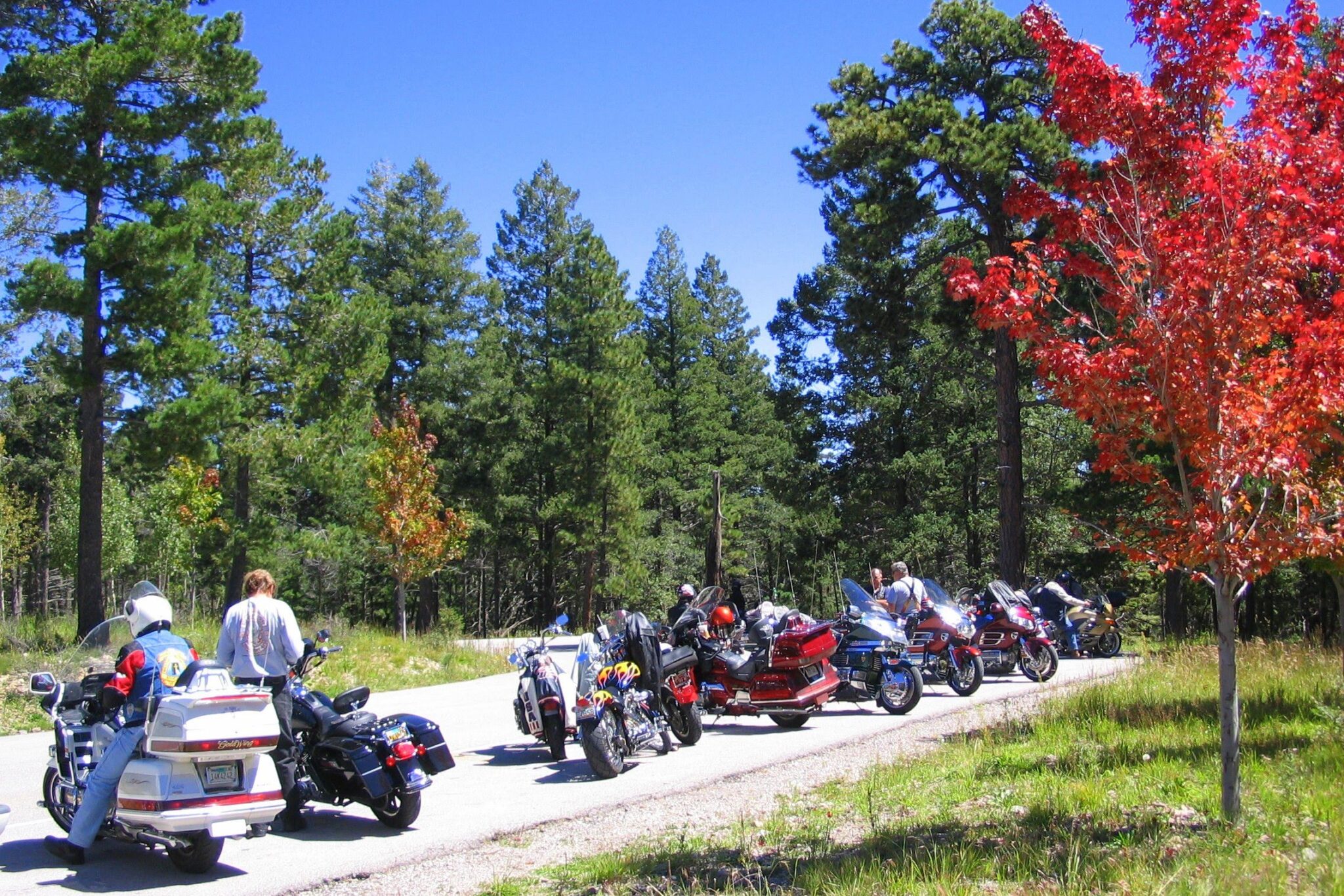 Golden Aspen Rally The North Texas Moto Journal